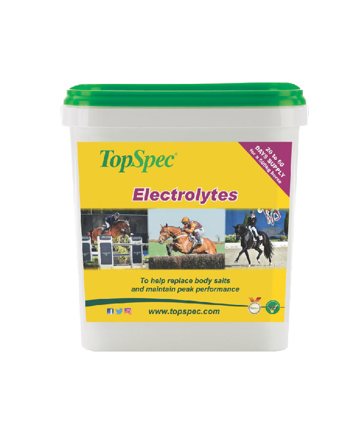 TOPSPEC Electrolytes, 1,5 kg