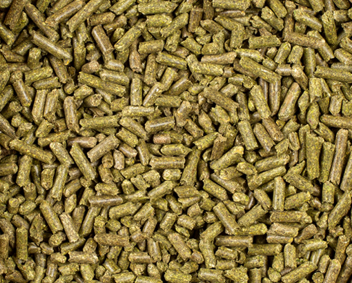 CARLI Ryegrass Pellet, 25kg